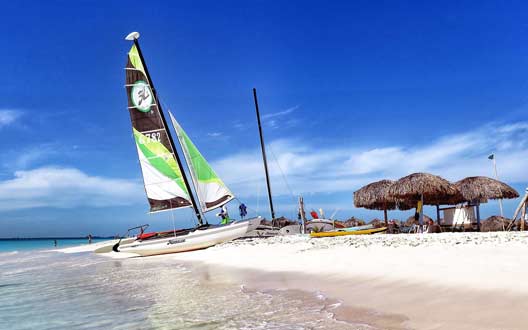 自动充值平台的网站攻击软件