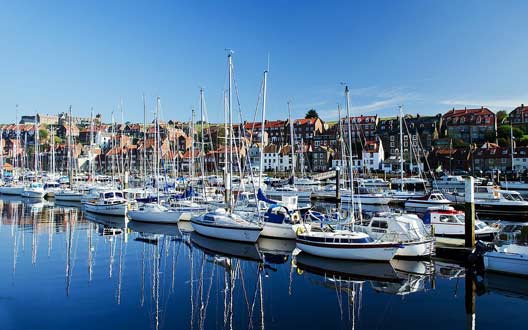 自动攻击网站工具下载